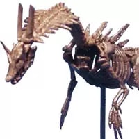 買取】カプコンフィギュアビルダー クリエイターズモデル 白海竜