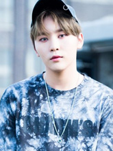 スングァン｜SEVENTEEN｜応援投票、身長、年齢など