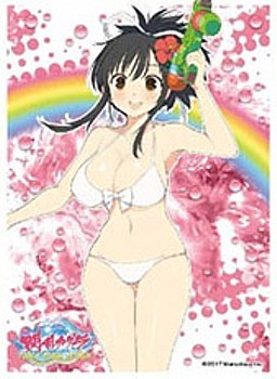 キャラクタースリーブ 閃乱カグラ PEACH BEACH SPLASH 飛鳥B(EN-604