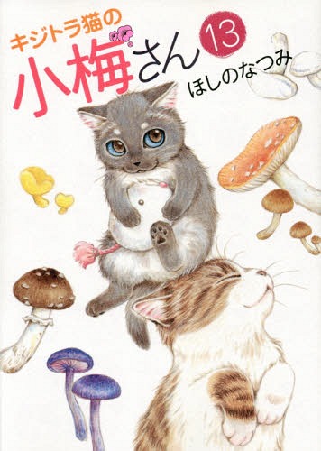 キジトラ猫の小梅さん 13 (ねこぱんちコミックス) ほしのなつみ/著 本