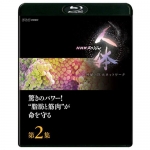 NHKスペシャル 人体 神秘の巨大ネットワーク ブルーレイBOX 全7枚