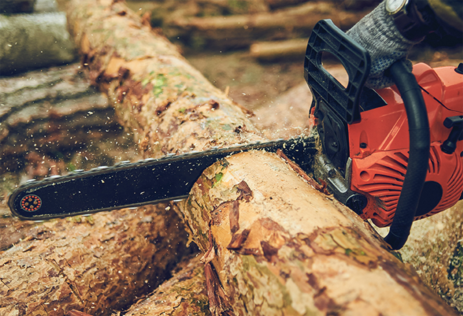 ニシガキ工業株式会社 / チェンソー研研 シガー電源アダプター付