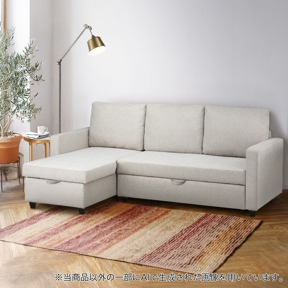 219030000212001.jpg?ts=