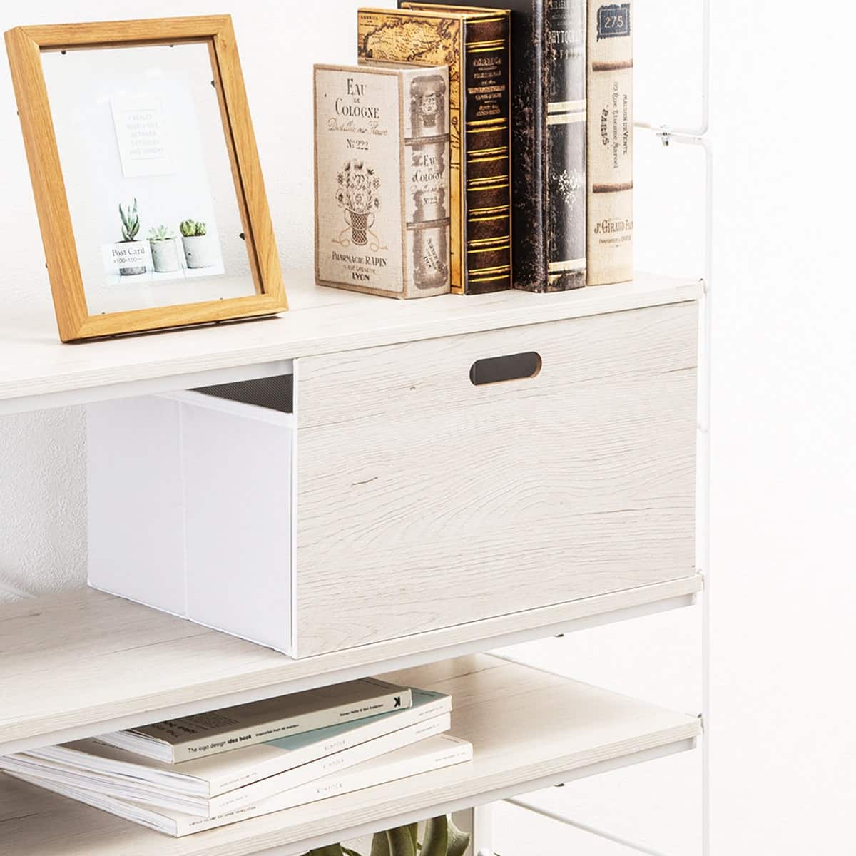 879165201.jpg?ts=20260105081831967