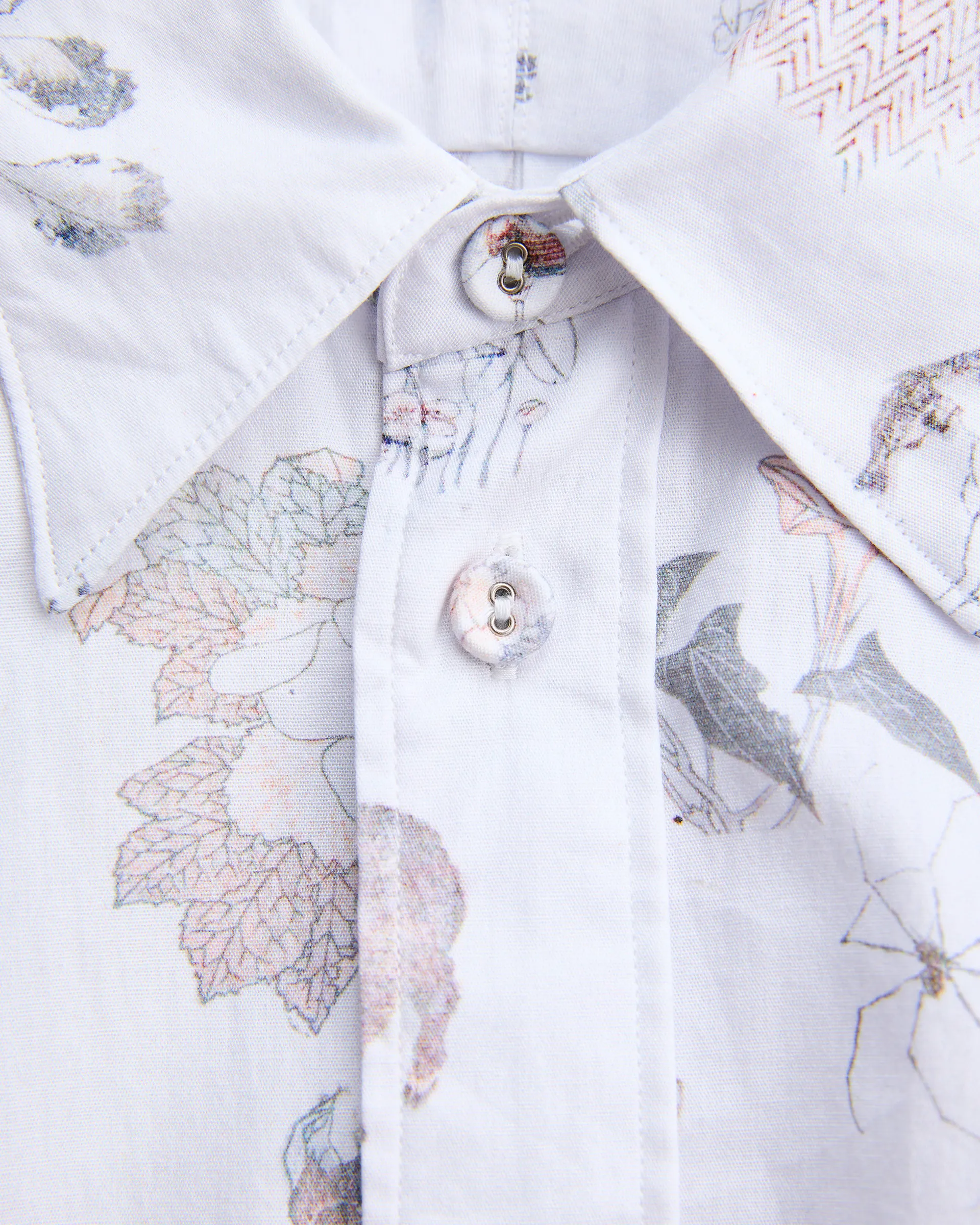 NICENESS | Official Website