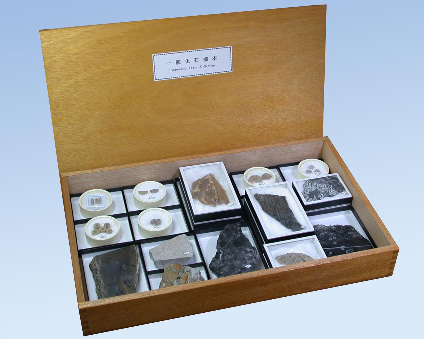 株式会社ニチカ 地質科学の専門商社