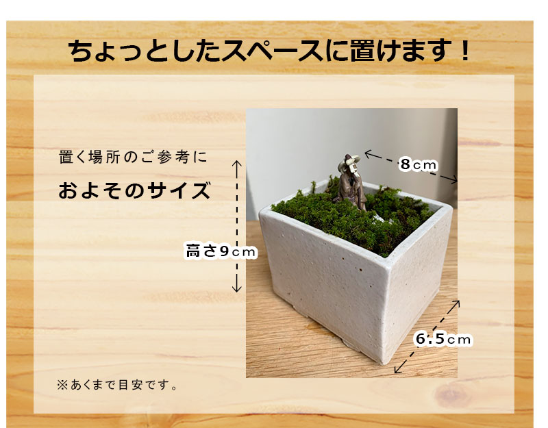 苔盆栽 【瞑想する仙人】万古焼創作角鉢 仙人 神様 苔盆栽 苔