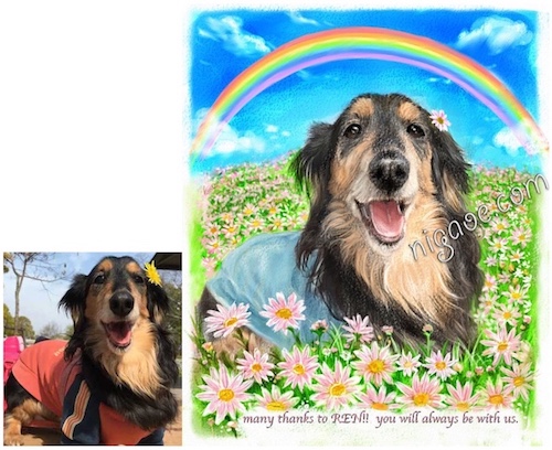 ペット似顔絵の制作 | 似顔絵の家