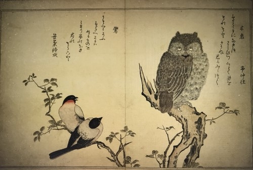 百千鳥狂歌合』 - 古典に親しむ | 国文学研究資料館