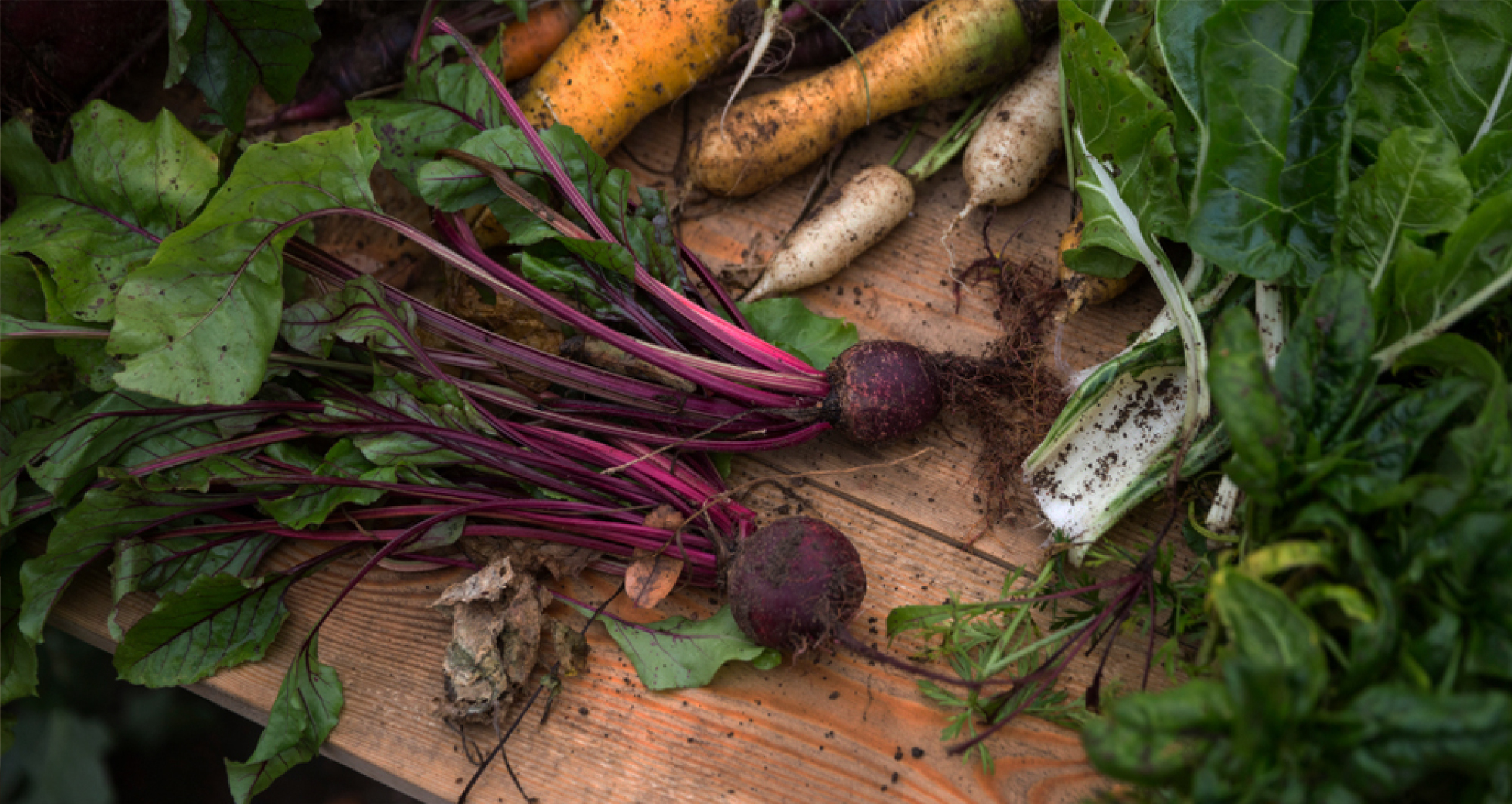 Home - CIALAC／シャラク - 環境や暮らしをサステナブルにする