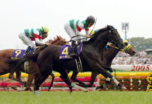 栗東便り】“武勇伝”も数々、今こそ伝えたい「不思議な馬」シーザリオ