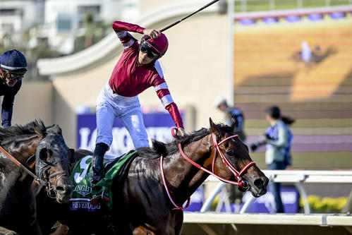 ブリーダーズカップ】フォーエバーヤングが世界の頂点に！日本馬7頭