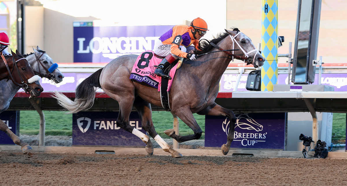 最高落札額は9・3億円！「ケンタッキーダービー最有力候補」の母