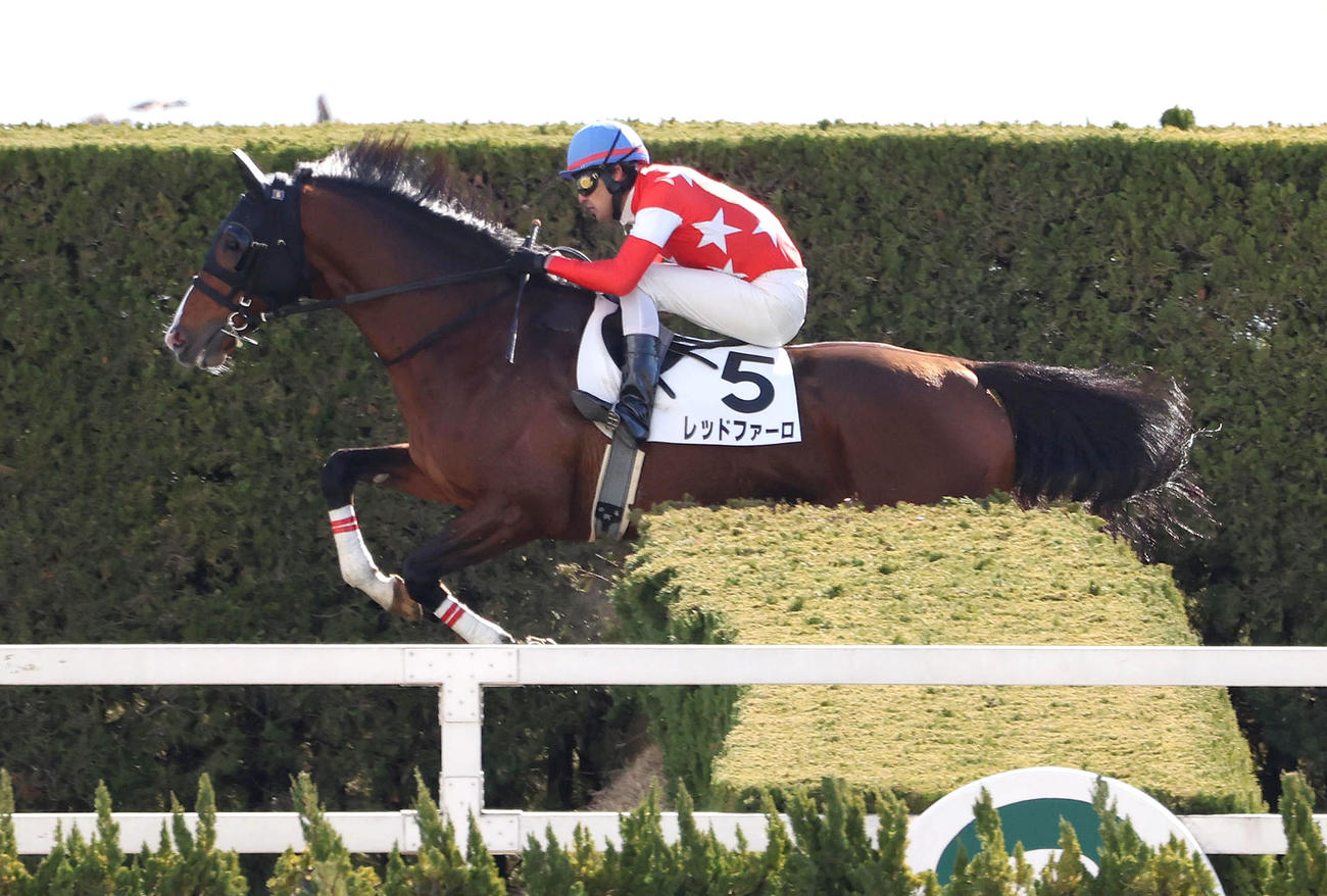 ハーツクライ産駒が史上6頭目のJRA通算1600勝達成 JRA現役馬は残り52