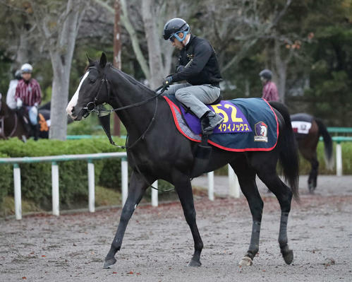 天皇賞・秋】イクイノックス1週前に豪快な動き ルメール騎手