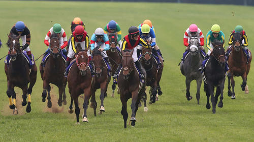 菊花賞】「ドゥラメンテ世代」の12年生まれ種牡馬3頭が牡牝3冠独占