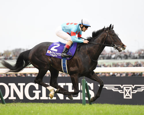 アーモンドアイとイクイノックスの子どもは多分世界一に」ルメール騎手