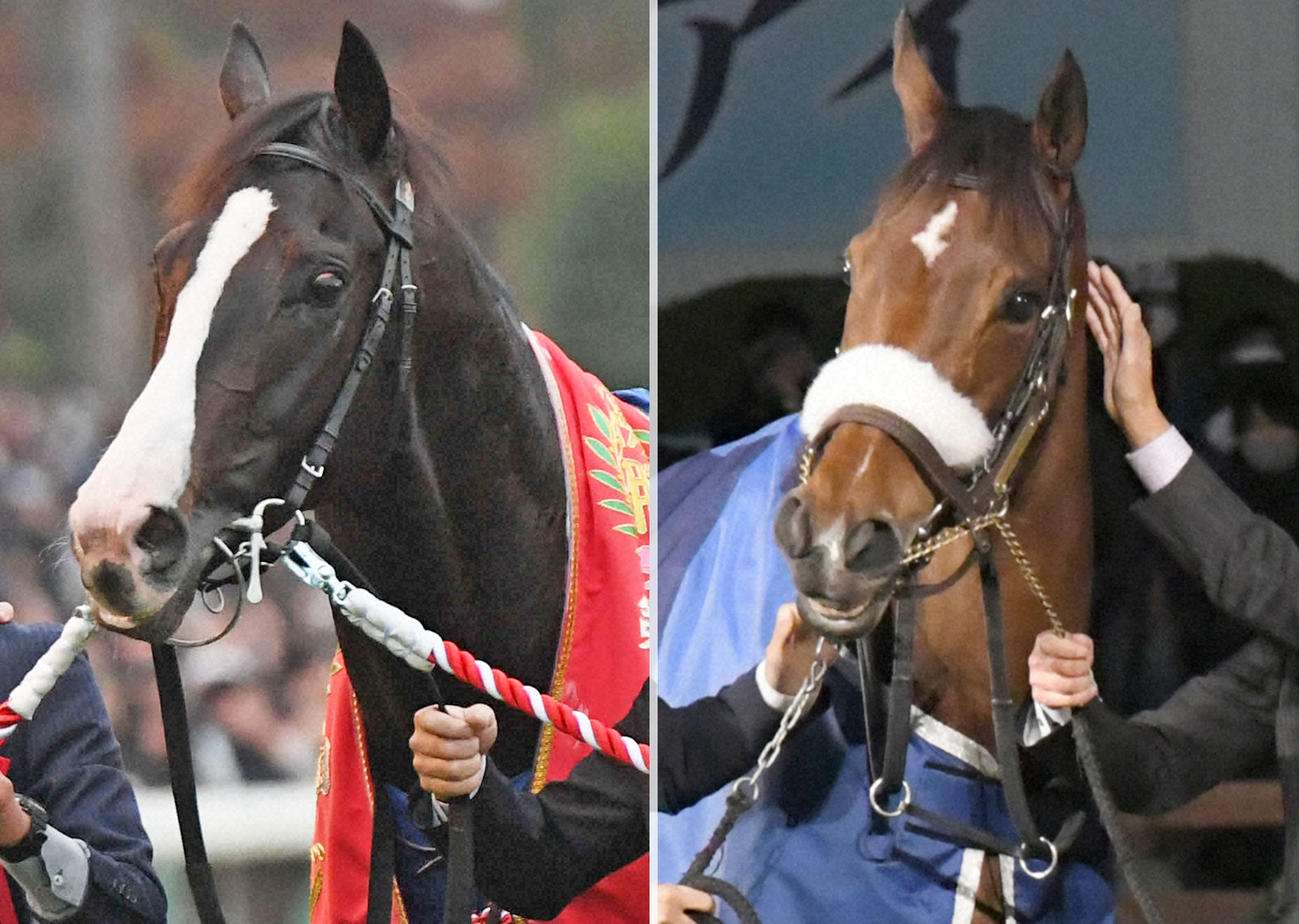 夢の配合！NF吉田勝己代表がイクイ×アーモンドの配合に言及「つけざる