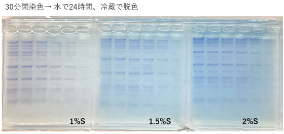 核酸染色用試薬 CLEAR STAIN Blue