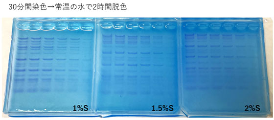核酸染色用試薬 CLEAR STAIN Blue