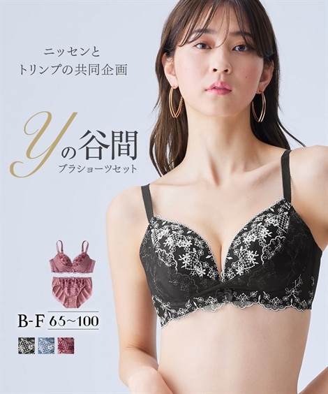 D65 大きいサイズ ブラショーツセット 通販【ニッセン公式】