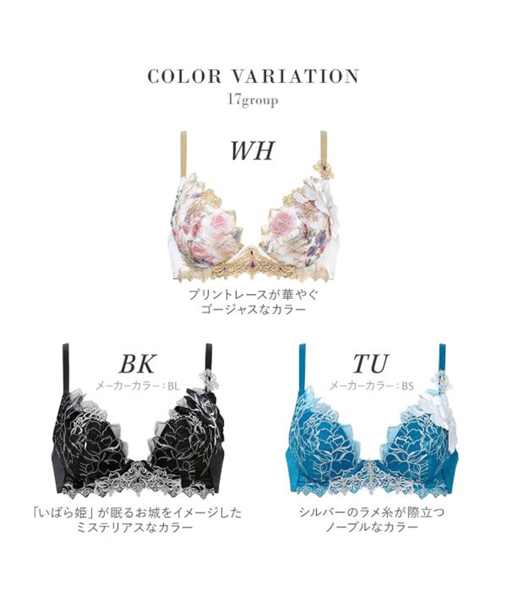 ワコール サルート 17グループ 17G VIVA LINE ブラジャー DEF