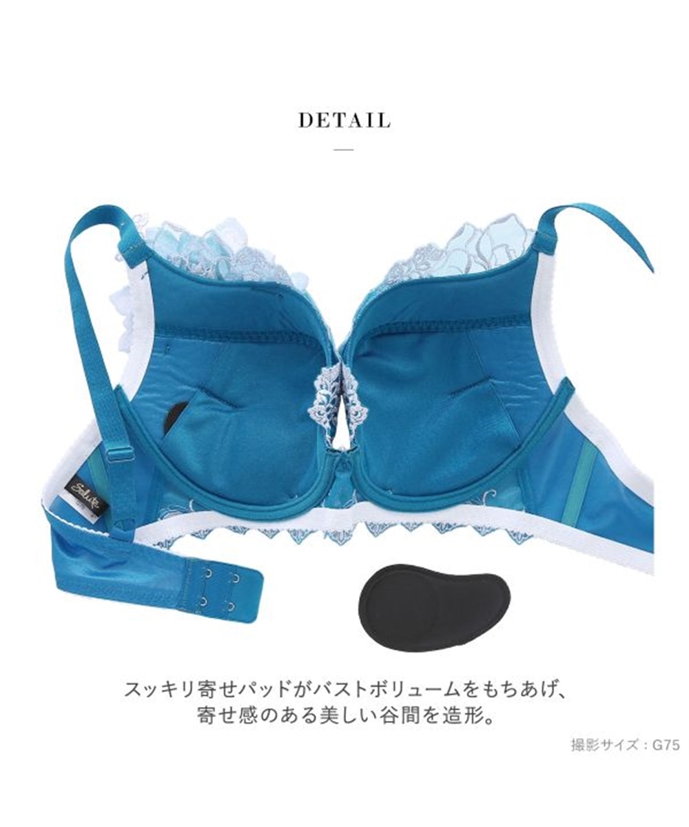 ワコール サルート 17グループ 17G VIVA LINE ブラジャー G ビバライン