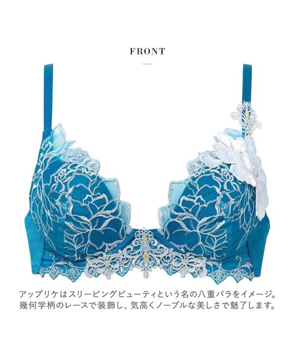 ワコール サルート 17グループ 17G VIVA LINE ブラジャー G ビバライン