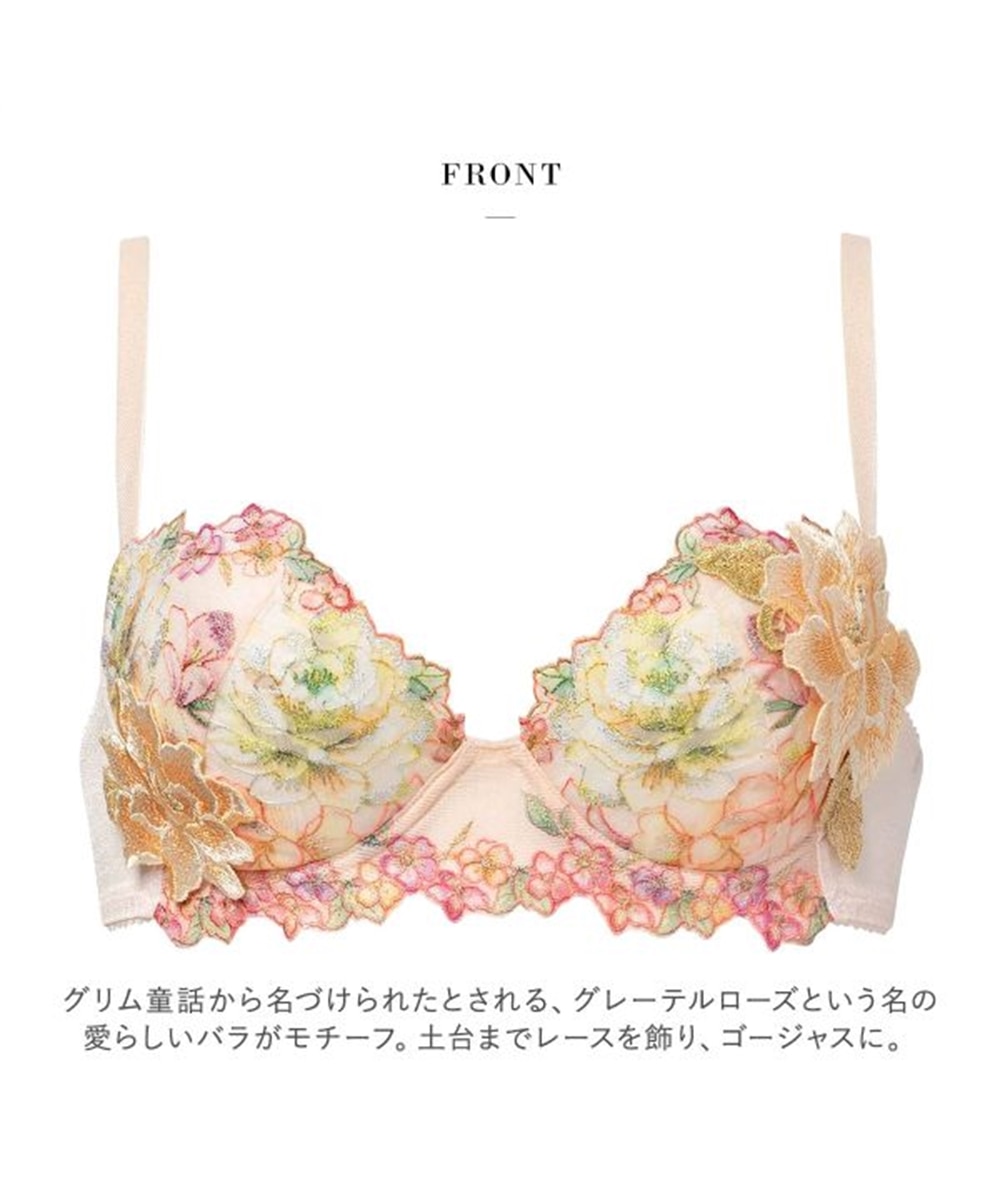 ワコール サルート 21グループ 21G P-UP ブラジャー プッシュアップ