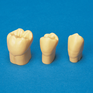 商品情報｜株式会社ニッシン｜歯科模型・歯科材料のトップメーカー