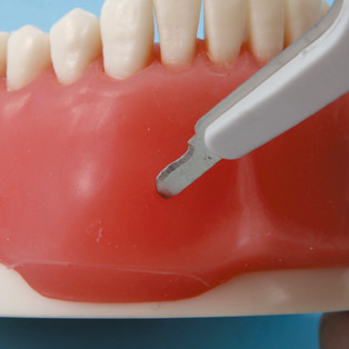 口腔外科実習用顎模型 [P15FE-OOP.1](FE咬合器つき)｜株式会社ニッシン