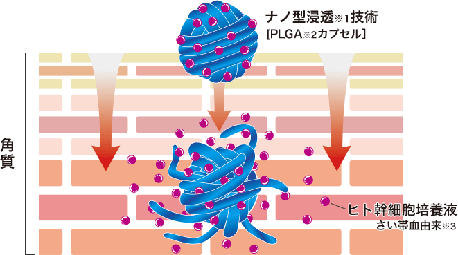 オイタス美容液 | ナチュレサプリメント＆教授の研究室-公式