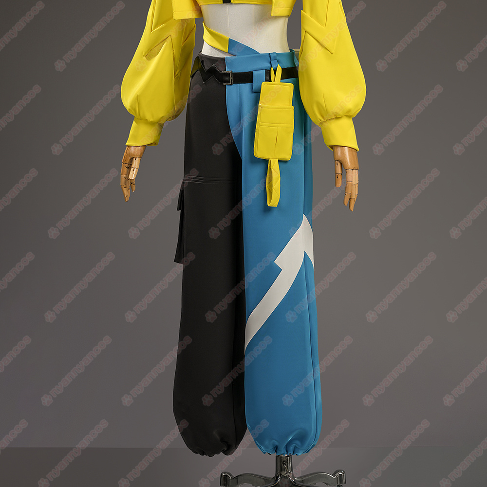 高品質 実物撮影 カナリィ ポケモンZA ポケモンレジェンズZA ポケモン