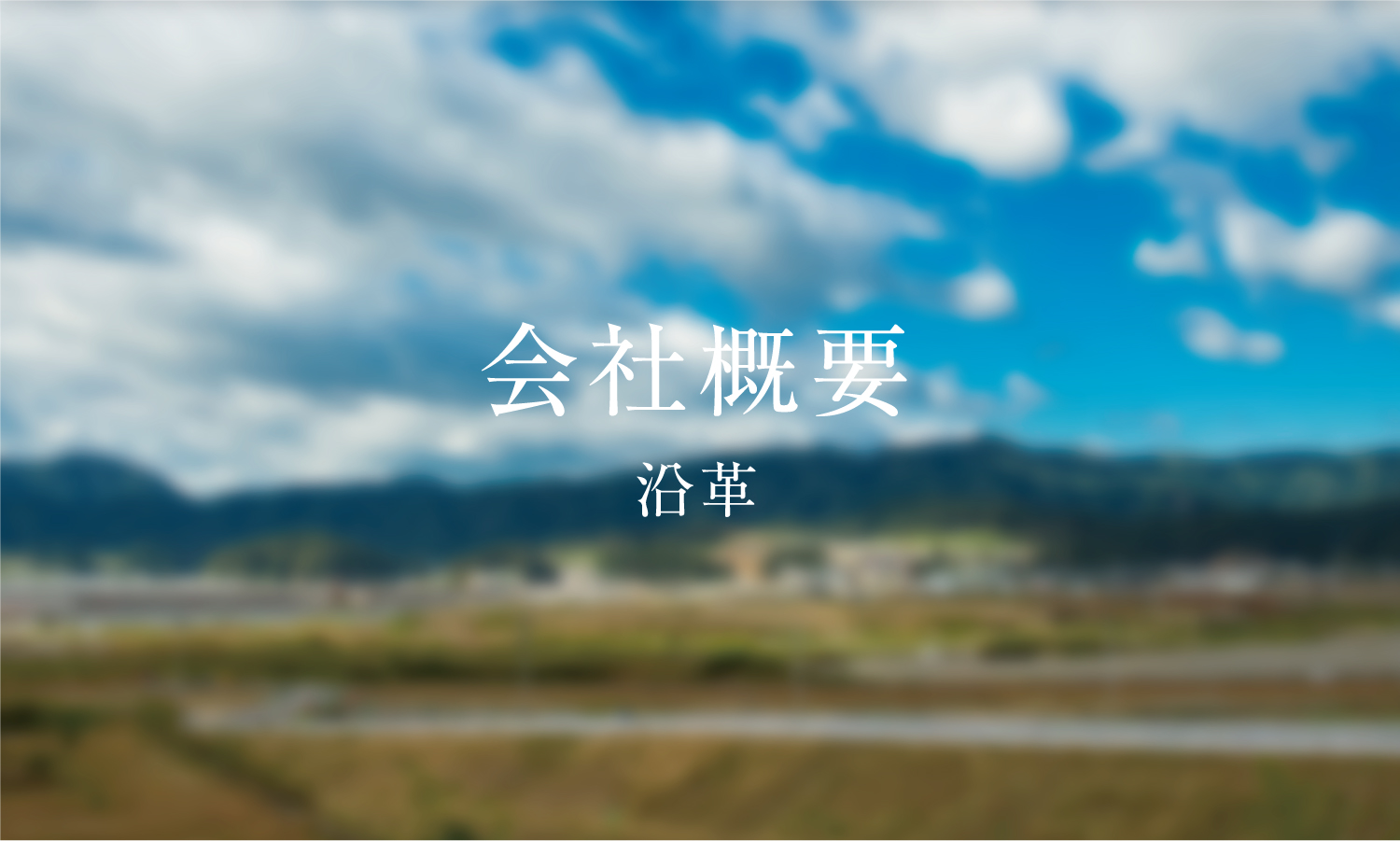 島崎株式会社 - 沿革