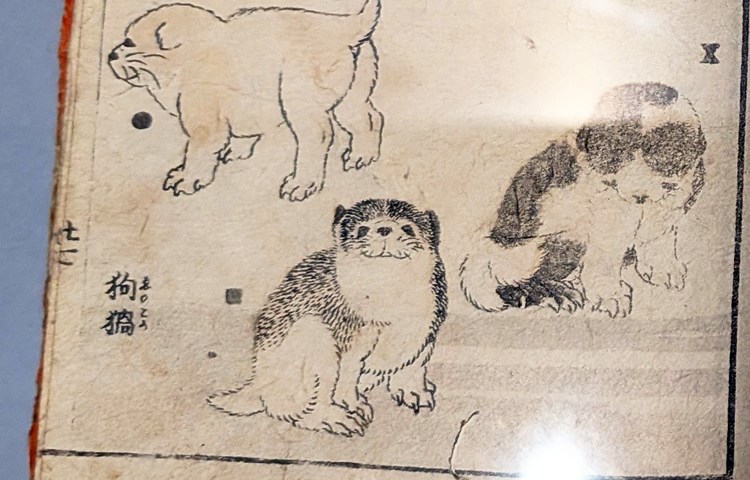 HOKUSAI－ぜんぶ、北斎のしわざでした。展」へ | COLUMN | SNOOPY.co