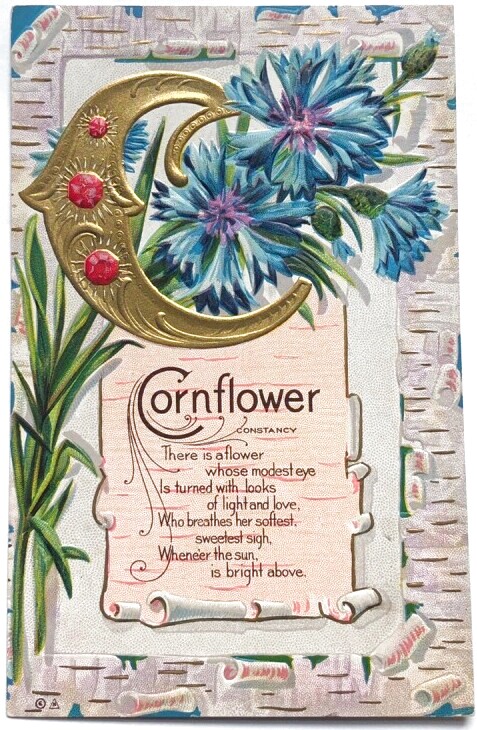 Snowdrop Postcards アンティークポストカード専門店