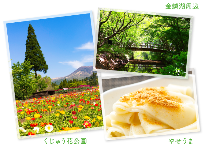 公式】最大12連休のGWは旅に出よう！おトクな航空券販売中｜おすすめ