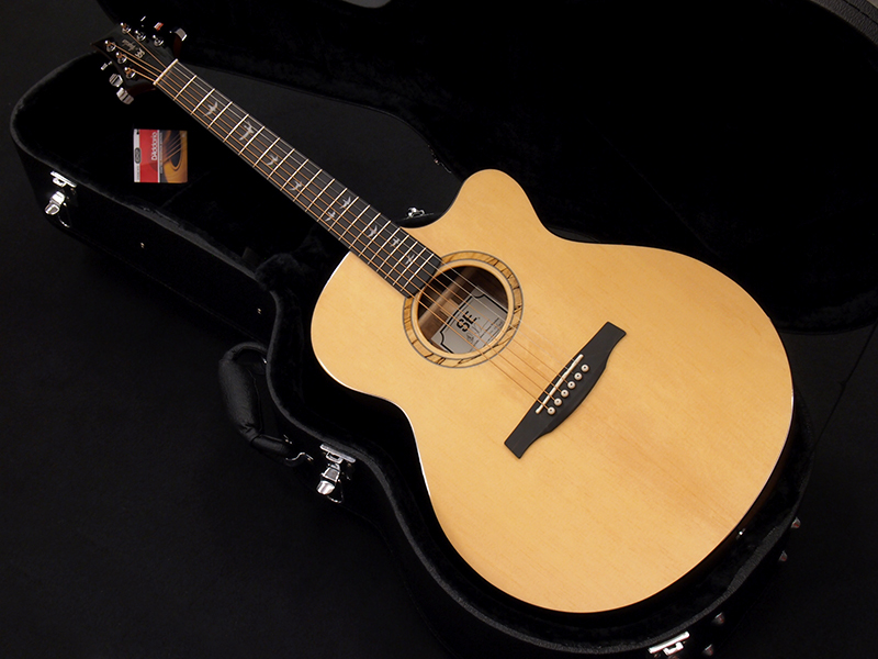 Paul Reed Smith SE ACOUSTIC ALEX LIFESON A15AL 税込販売価格