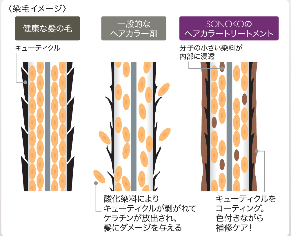 商品詳細ページ | SONOKO オンラインショップ | SONOKO ヘアカラー
