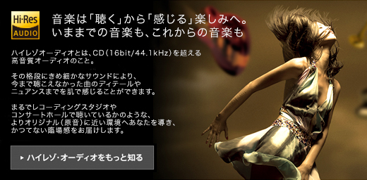 NW-ZX1 特長 : ハイレゾ音源に対応 | ポータブルオーディオプレーヤー