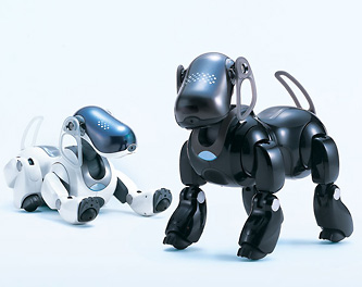 News and Information パソコンとの親和性向上でエンターテインメント