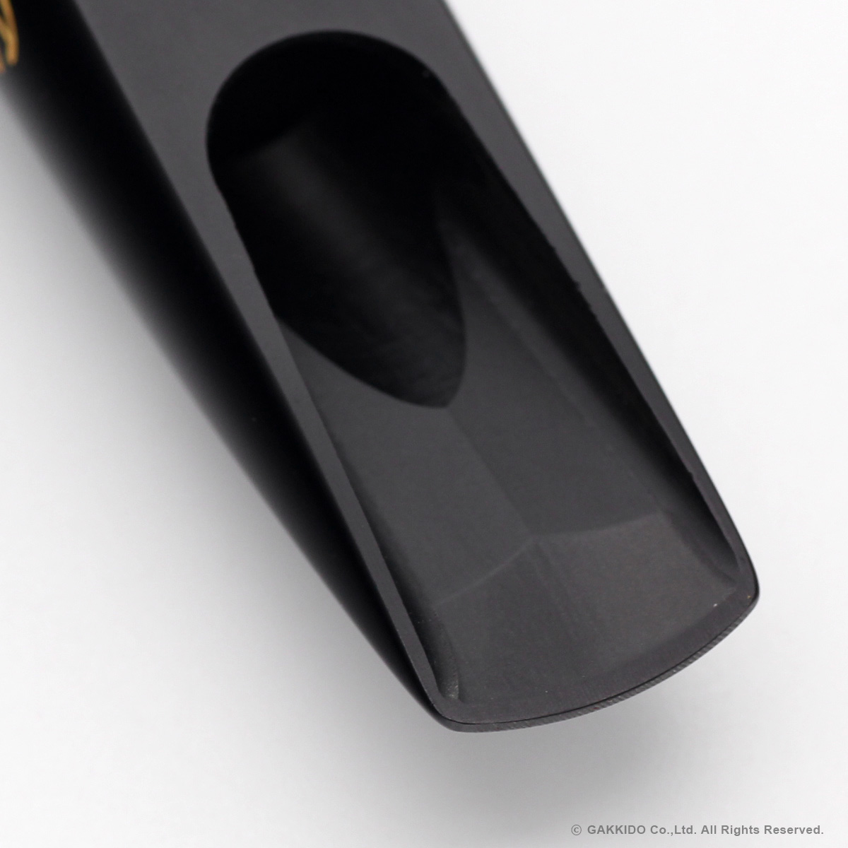 Ever-Ton Strength Hard Rubber Milton Guedes Signature アルト