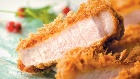 About Saboten | Saboten Japanese Cutlet ::