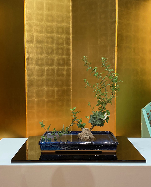 華務長からのお知らせ - ページ 5 / 139 - いけばな嵯峨御流（さがご