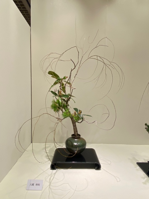 華務長からのお知らせ - ページ 5 / 139 - いけばな嵯峨御流（さがご