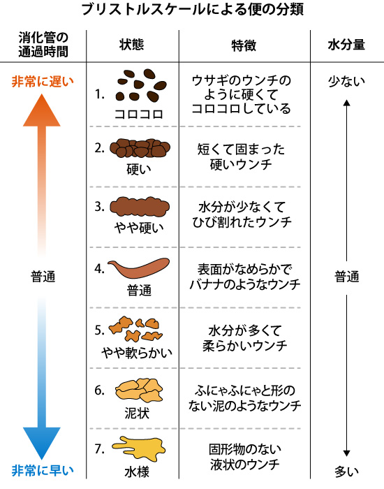 ちゃんといいウンチ出てる？ 知って得するウンチの話 | 済生会