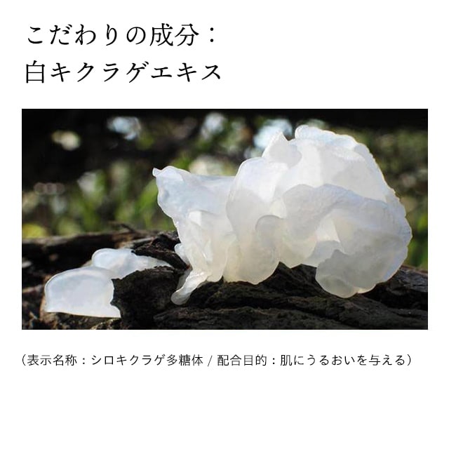 ドモホルンリンクルの『洗顔石鹸』の商品詳細と使い方｜基礎化粧品