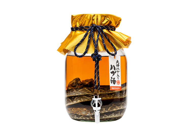 夫婦ハブ入り酒 蛇口付 35度 / 3000ml - さきたりや - 南都酒造所 公式