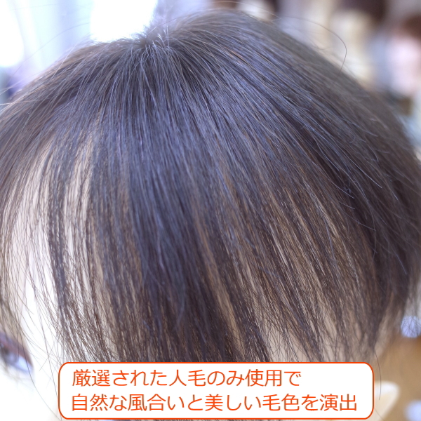 人毛部分ウィッグ女性用ヘアピース Sサイズ ナチュラルストレート 特殊