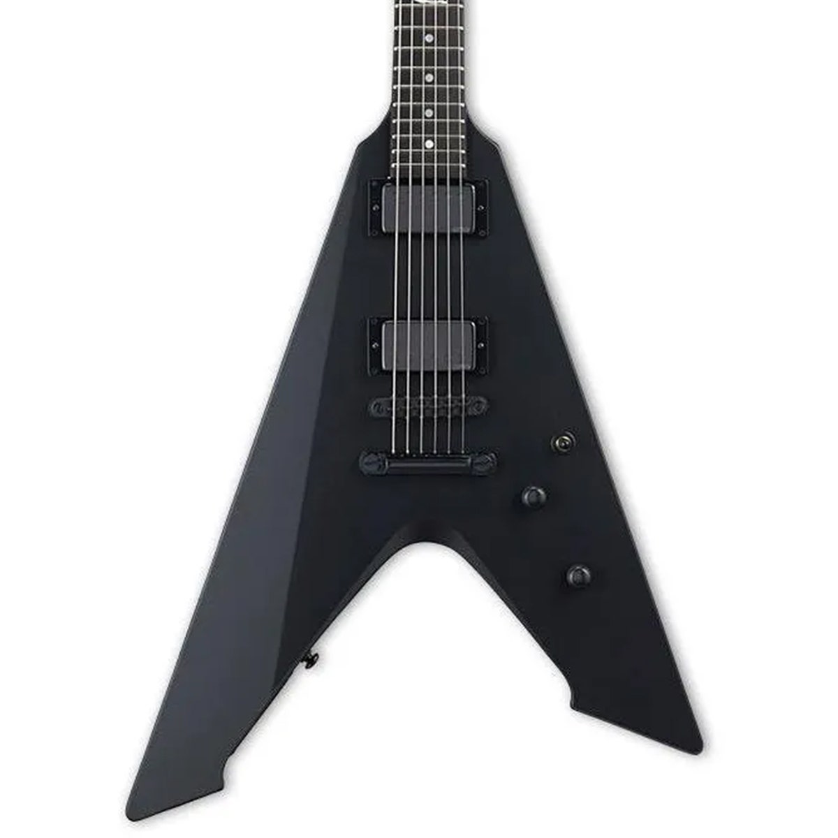 elvulture.jpg?optimize=medium&